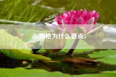 dnf拔枪为什么要点5