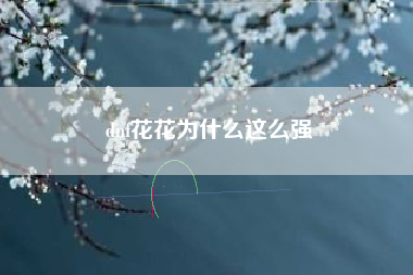 dnf花花为什么这么强