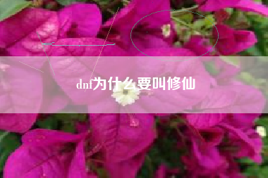 dnf为什么要叫修仙