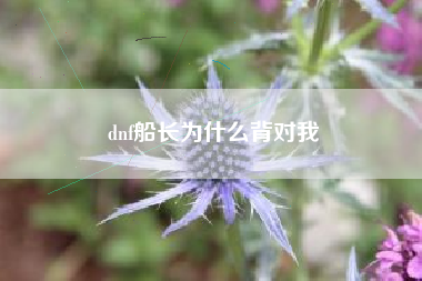 dnf船长为什么背对我