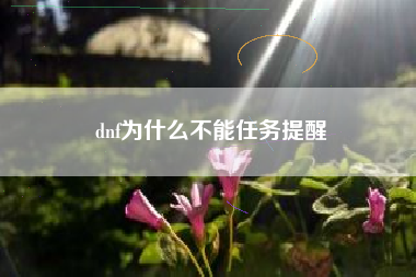 dnf为什么不能任务提醒