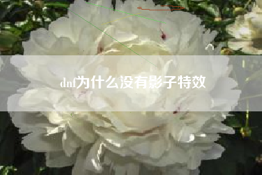 dnf为什么没有影子特效