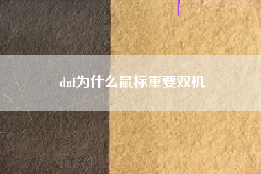 dnf为什么鼠标重要双机