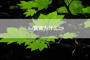 dnf属强为什么220