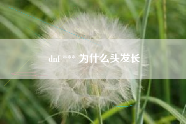 dnf *** 为什么头发长