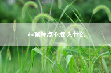 dnf鼠标点不准 为什么