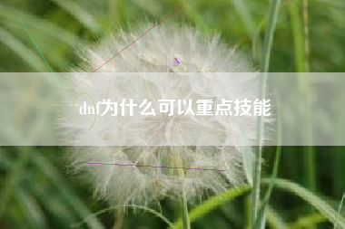 dnf为什么可以重点技能