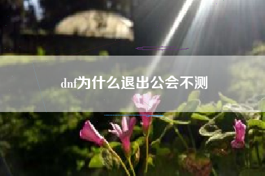 dnf为什么退出公会不测