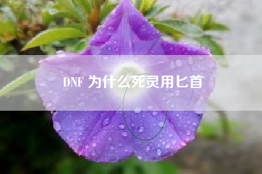 DNF 为什么死灵用匕首