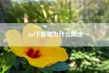 dnf下载器为什么限速