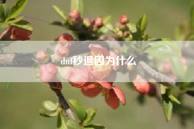 dnf秒退因为什么