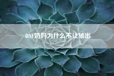 DNF奶妈为什么不让输出