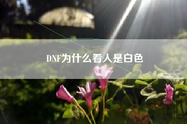 DNF为什么看人是白色