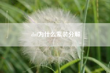 dnf为什么紫装分解