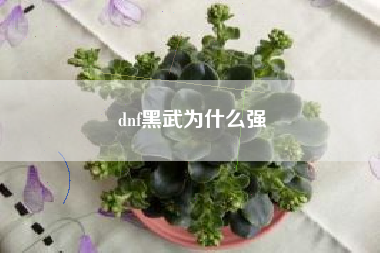 dnf黑武为什么强