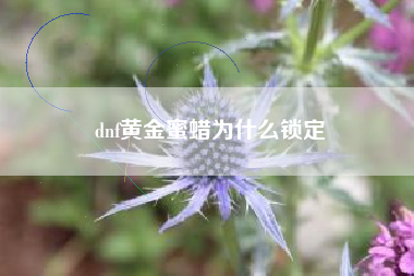 dnf黄金蜜蜡为什么锁定