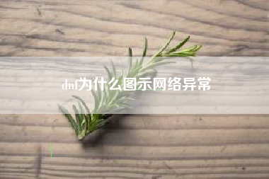 dnf为什么图示网络异常