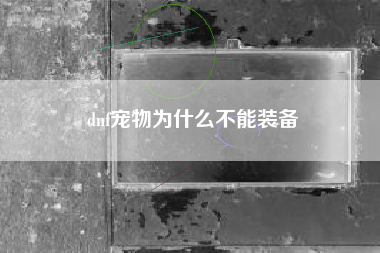 dnf宠物为什么不能装备