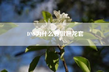 DNF为什么要做巨龙套