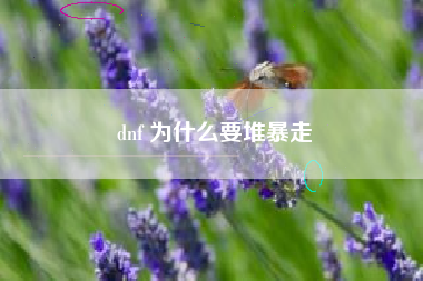 dnf 为什么要堆暴走