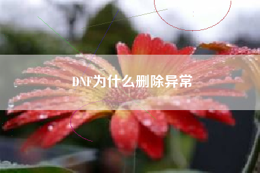 DNF为什么删除异常