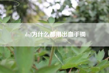 dnf为什么都用出血手镯