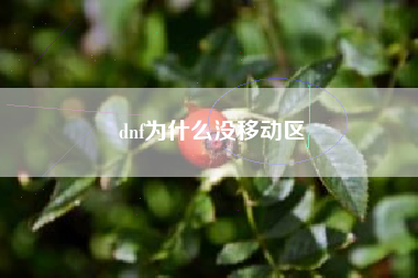 dnf为什么没移动区