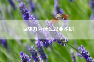 dnf战力为什么职业不同