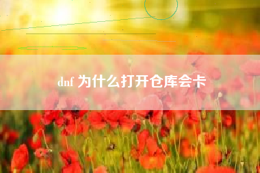 dnf 为什么打开仓库会卡