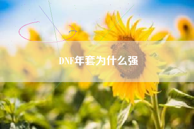 DNF年套为什么强