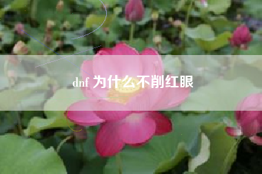 dnf 为什么不削红眼