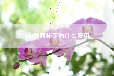 dnf界面补丁为什么没用