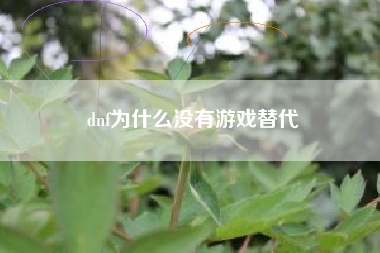 dnf为什么没有游戏替代