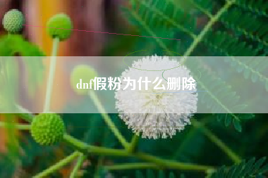 dnf假粉为什么删除