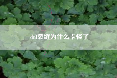 dnf裂缝为什么卡怪了