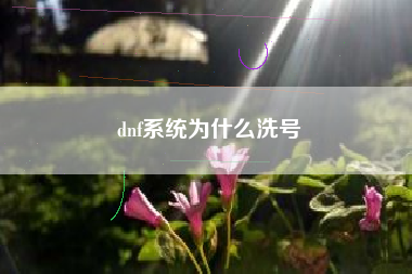 dnf系统为什么洗号