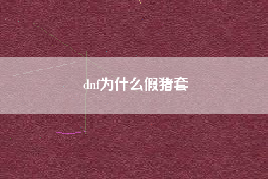 dnf为什么假猪套