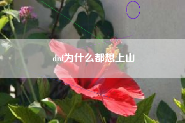 dnf为什么都想上山