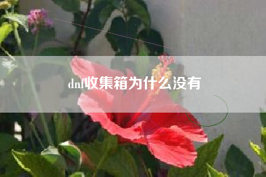 dnf收集箱为什么没有