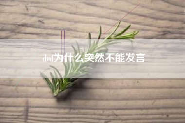 dnf为什么突然不能发言