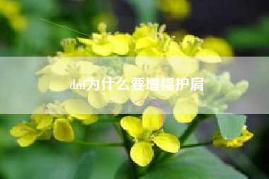 dnf为什么要增幅护肩