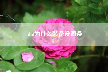 dnf为什么装备没词条