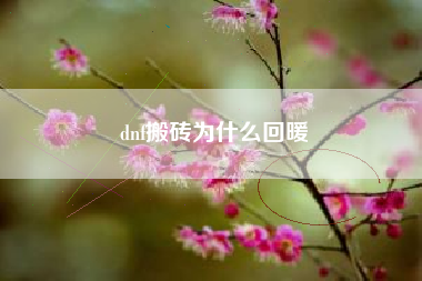 dnf搬砖为什么回暖