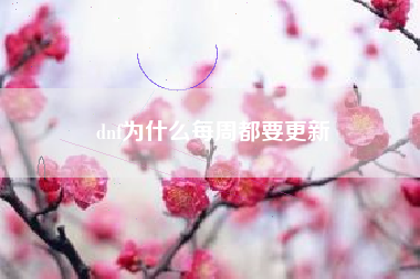 dnf为什么每周都要更新