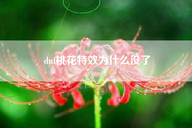 dnf桃花特效为什么没了