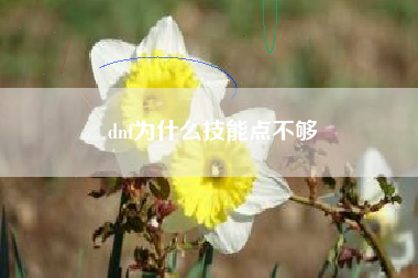 dnf为什么技能点不够