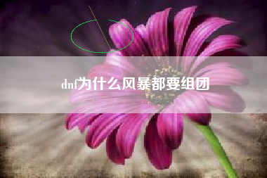 dnf为什么风暴都要组团