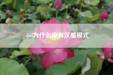 dnf为什么没有汉服模式