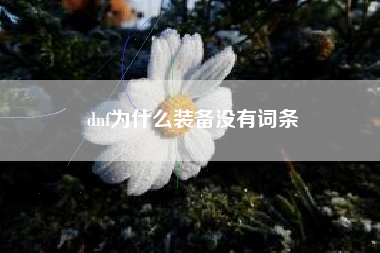 dnf为什么装备没有词条