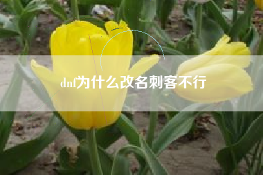 dnf为什么改名刺客不行